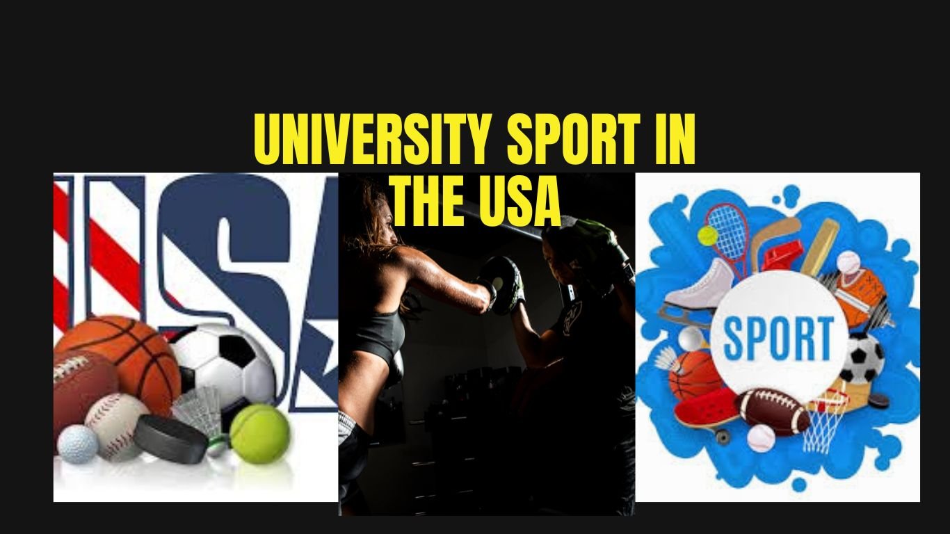 SPORTS SCHOLARSHIP FOR INTERNATIONAL STUDENTS