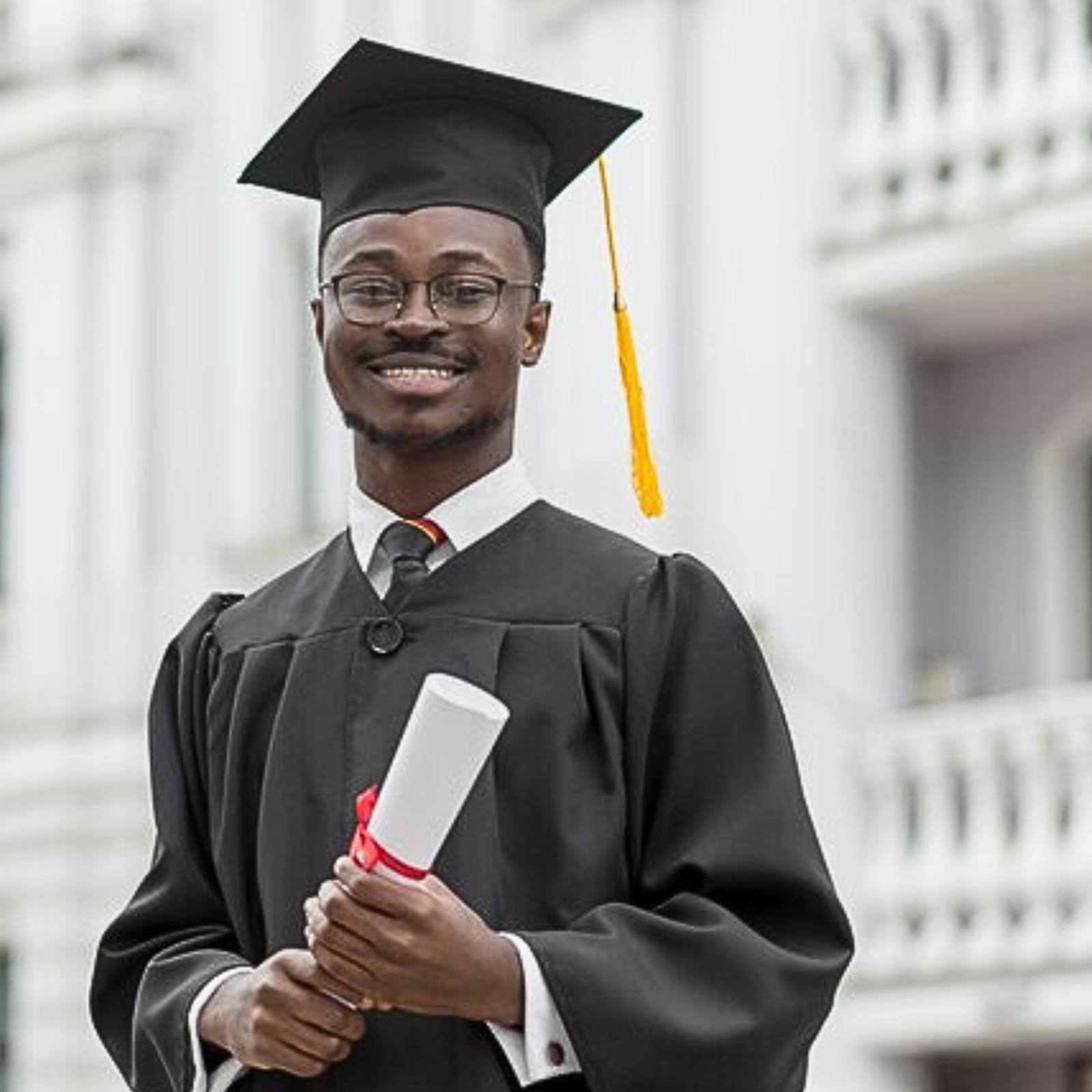 Young international scholar